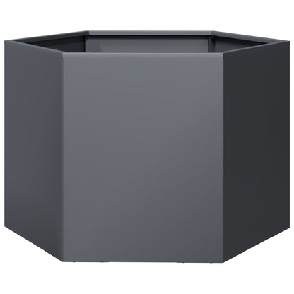 Plantenbak zeshoek 69x60x45 cm staal antracietkleurig