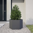 Plantenbak zeshoek 69x60x45 cm staal antraciet