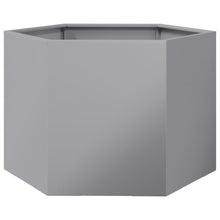 Plantenbak zeshoek 69x60x45 cm gegalvaniseerd staal
