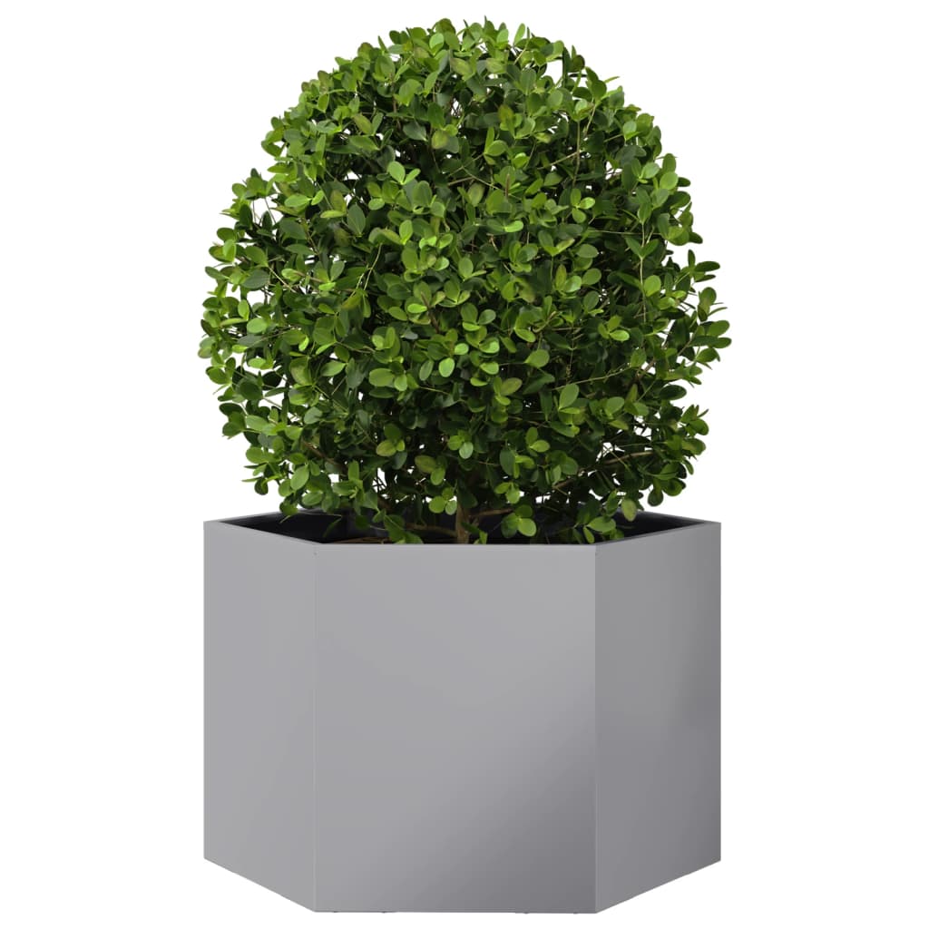 Plantenbak zeshoek 69x60x45 cm gegalvaniseerd staal