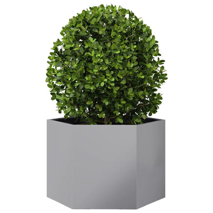 Plantenbak zeshoek 69x60x45 cm gegalvaniseerd staal