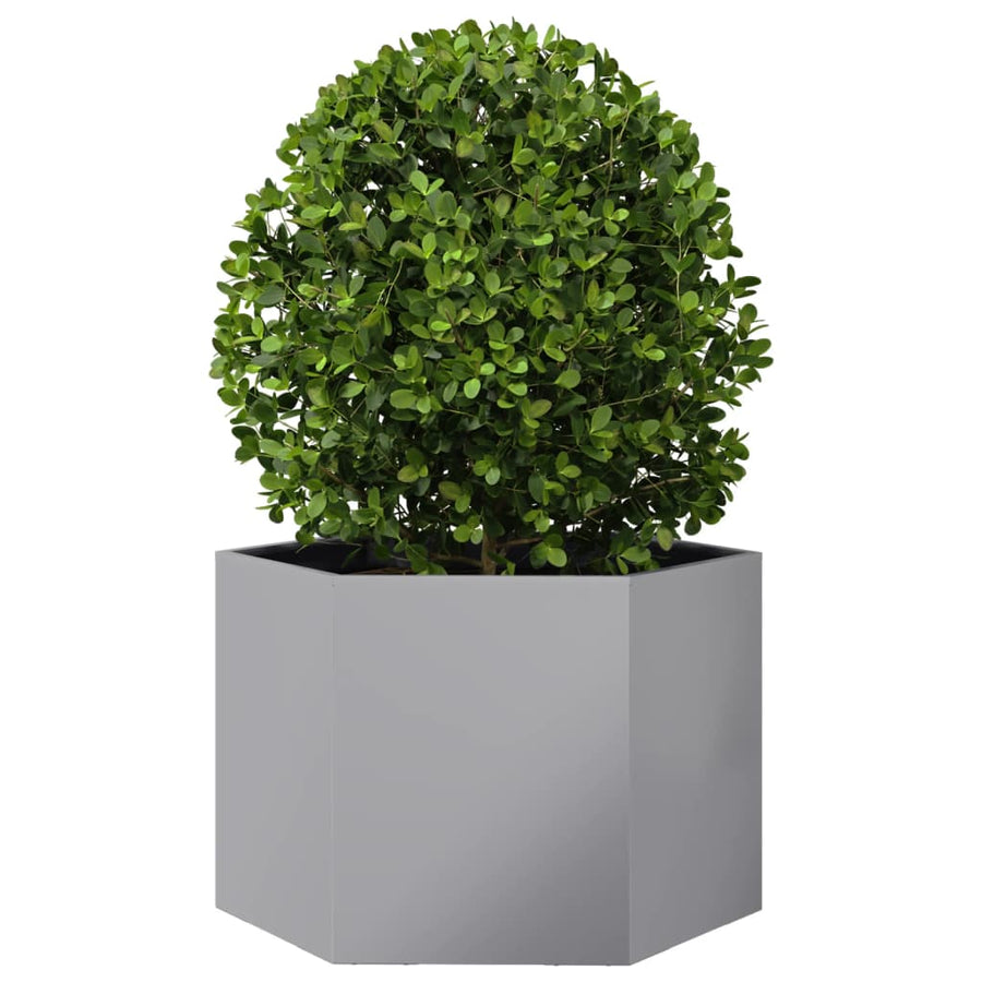 Plantenbak zeshoek 69x60x45 cm gegalvaniseerd staal