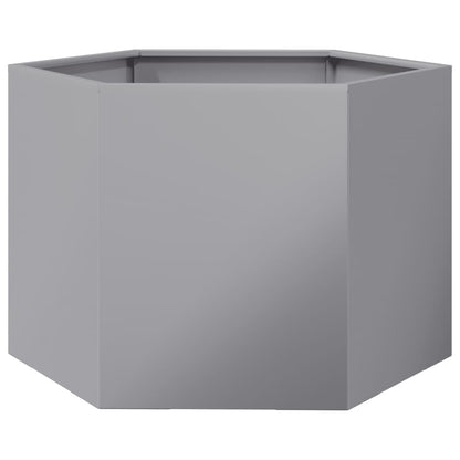 Plantenbak zeshoek 69x60x45 cm gegalvaniseerd staal