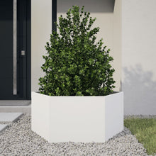 Plantenbak zeshoek 104x90x45 cm staal wit