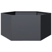 Plantenbak zeshoek 104x90x45 cm staal antraciet