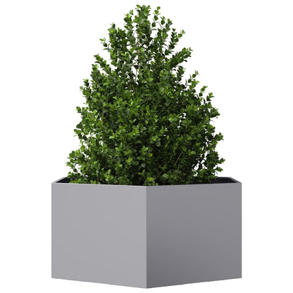 Plantenbak zeshoek 104x90x45 cm gegalvaniseerd staal