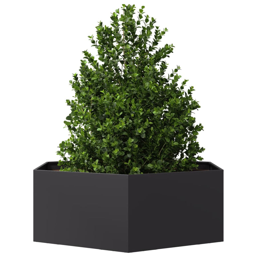 Plantenbak zeshoek 138x120x45 cm staal zwart