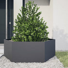 Plantenbak zeshoek 138x120x45 cm staal antraciet