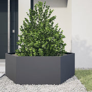 Plantenbak zeshoek 138x120x45 cm staal antraciet