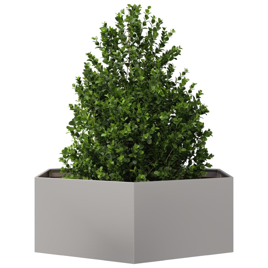 Plantenbak zeshoek 138x120x45 cm roestvrijstaal