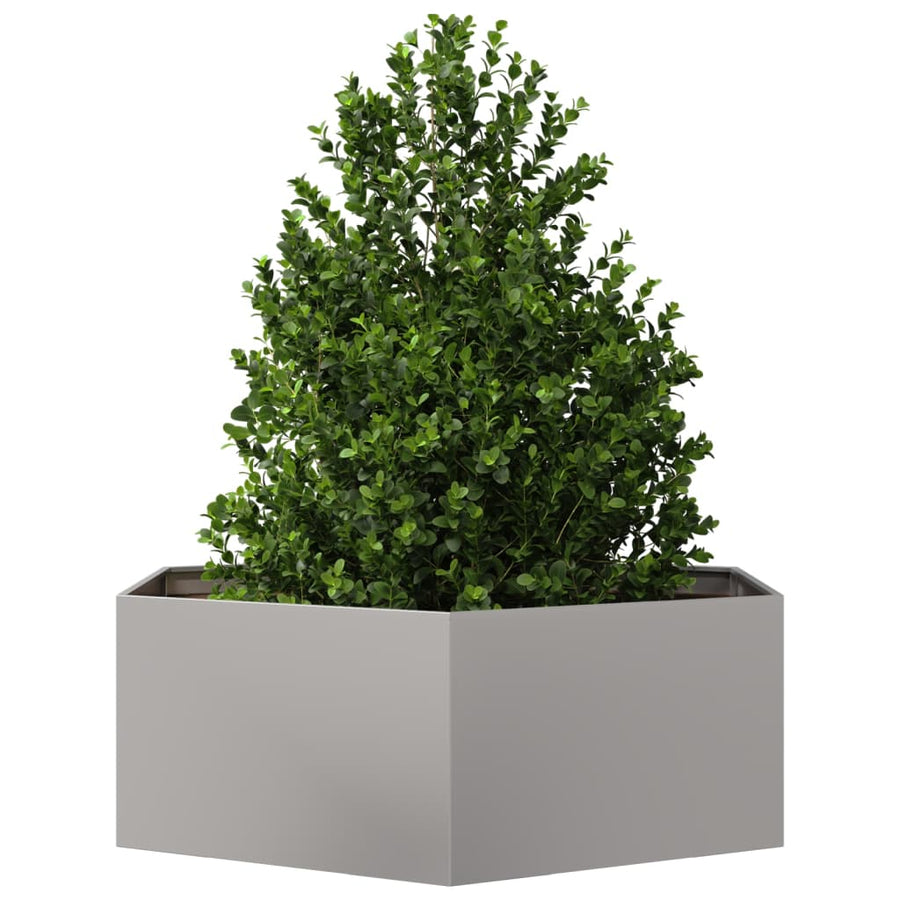 Plantenbak zeshoek 138x120x45 cm roestvrijstaal