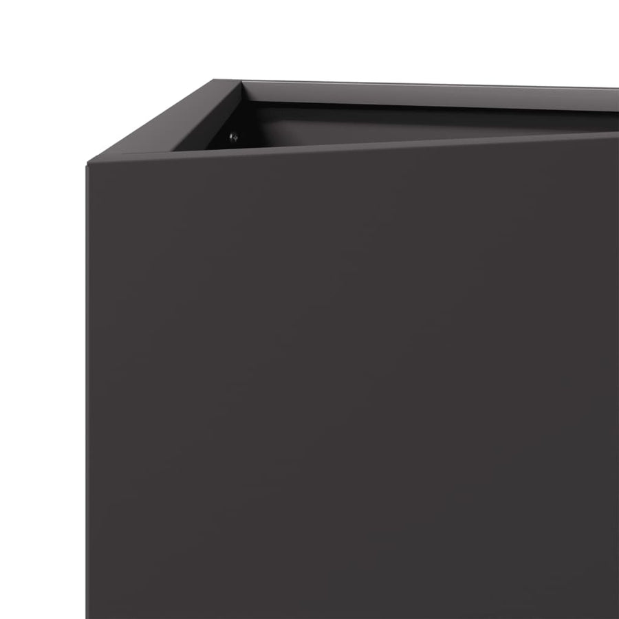 Plantenbak driehoek 30x26x75 cm staal zwart