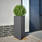 Plantenbak driehoek 40x34,5x70 cm staal antraciet