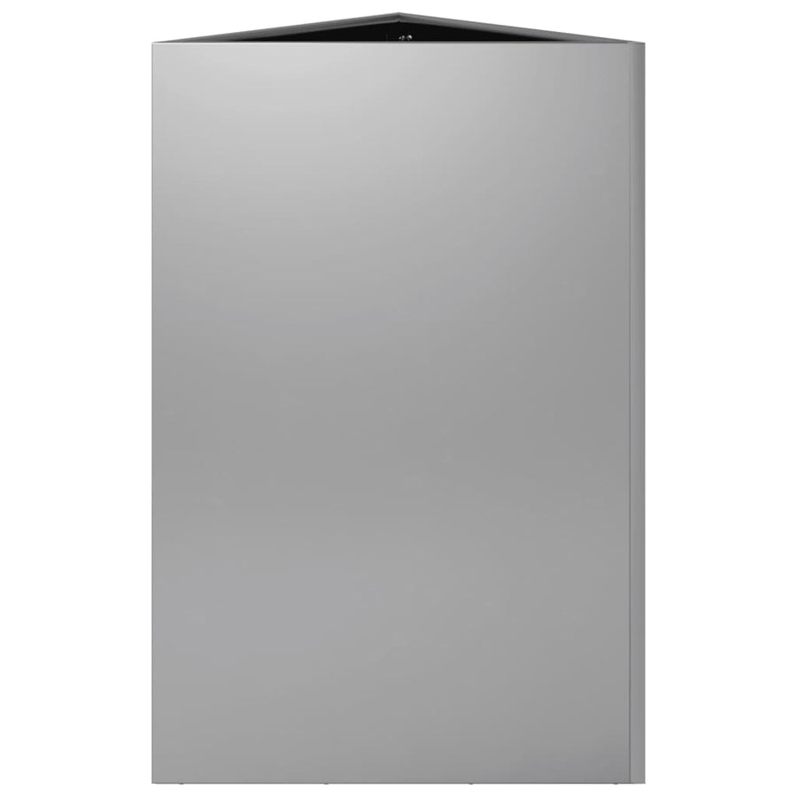 Plantenbak driehoek 50x43x75 cm gegalvaniseerd staal