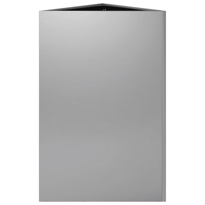 Plantenbakken 2 st driehoek 50x43x75 cm gegalvaniseerd staal