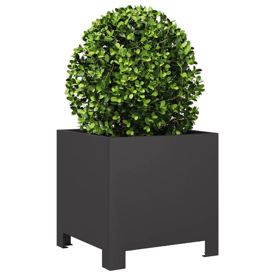 Plantenbakken 2 st 30x30x30 cm staal zwart