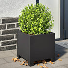 Planters 2 pcs 30x30x30 cm steel black