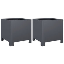 Plantenbakken 2 st 30x30x30 cm staal antracietkleurig