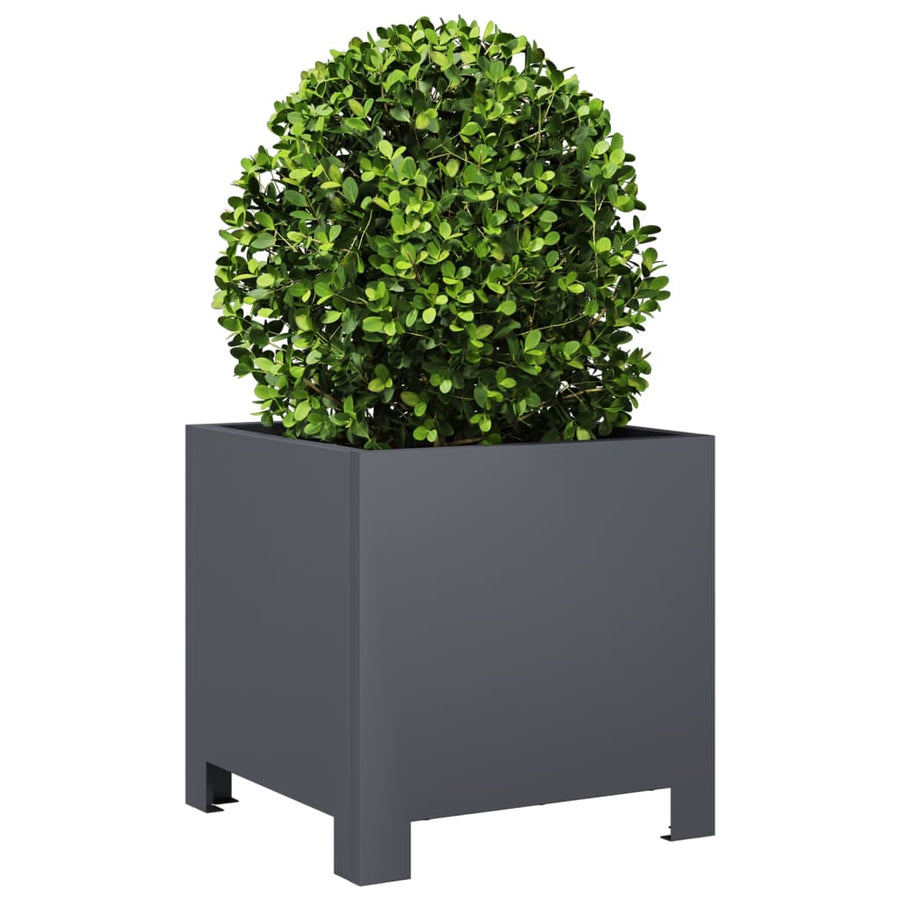 Plantenbakken 2 st 30x30x30 cm staal antracietkleurig