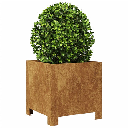 Plantenbakken 2 st 30x30x30 cm cortenstaal