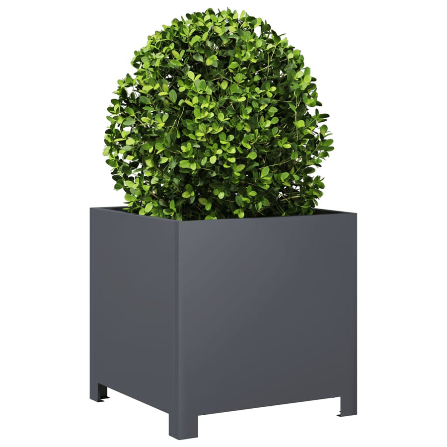 Plantenbakken 2 st 40x40x40 cm staal antracietkleurig