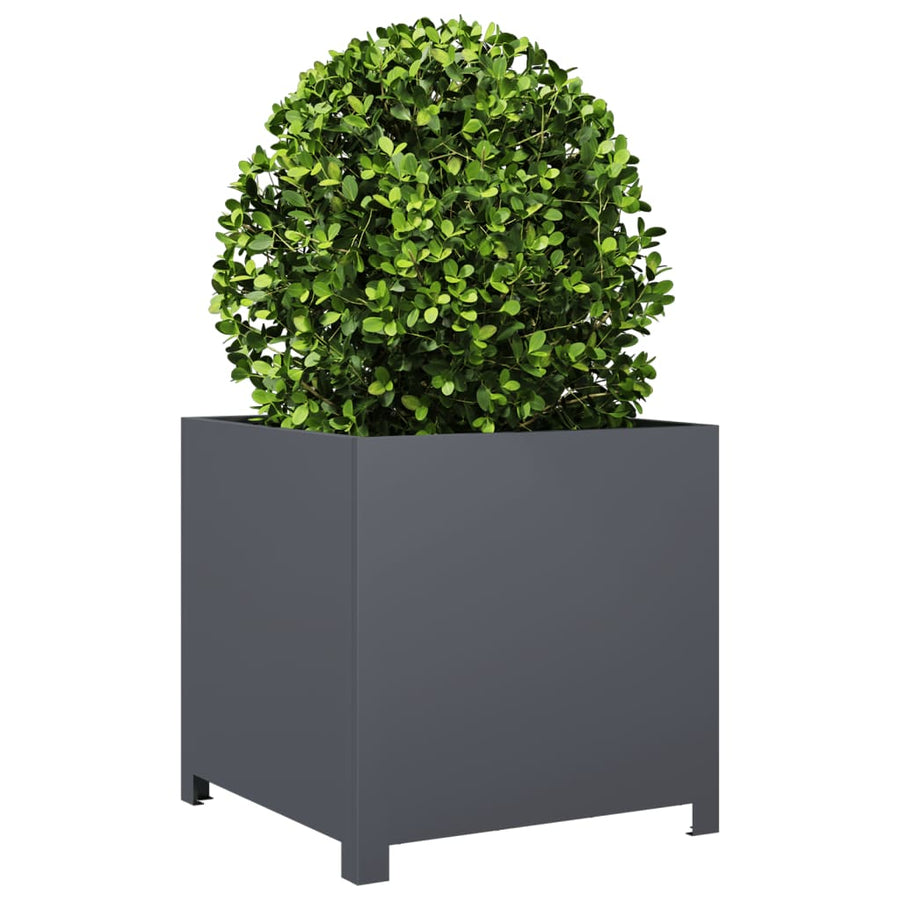 Plantenbak 50x50x50 cm staal antracietkleurig