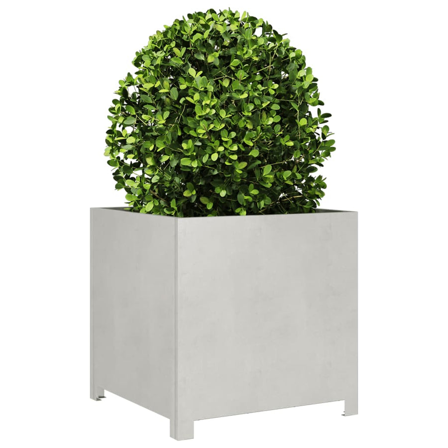 Plantenbak 50x50x50 cm roestvrij staal