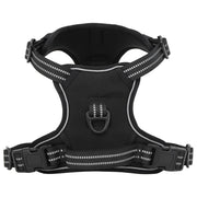 Hondentuigje M zwart met riem en halsband