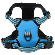Hondentuigje riem halsband XL blauw verstelbaar