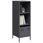 Tall cabinet 35x39x103.5 cm steel anthracite