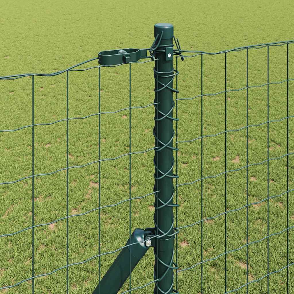 Hek met Paal Groen 1,6 x 10 m Staal en PVC