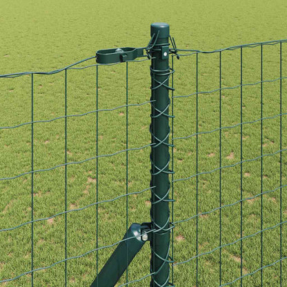 Hek met Paal Groen 1,6 x 10 m Staal en PVC