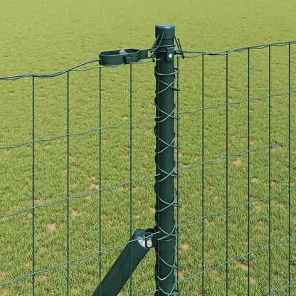 Hek met Paal Groen 1,6 x 10 m Staal en PVC