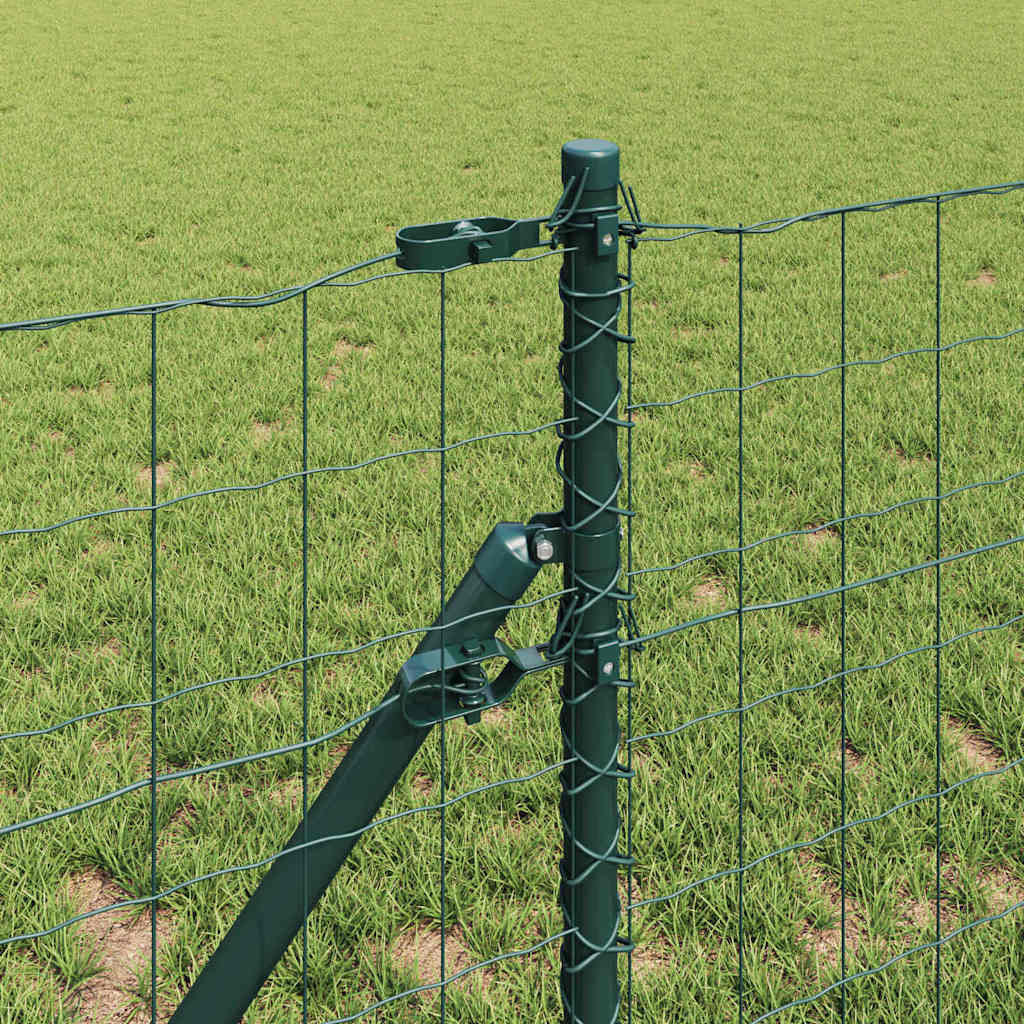 Hek met Paal Groen 0,8 x 25 m Staal en PVC