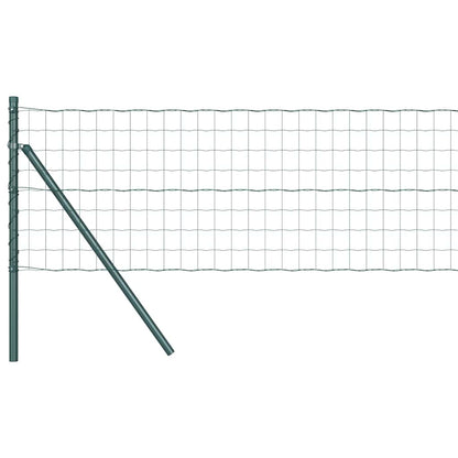 Hek met Paal Groen 0,4 x 10 m Staal en PVC