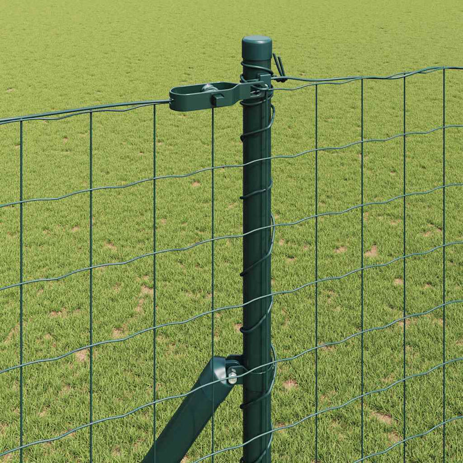Hek met Paal Groen 1,6 x 10 m Staal en PVC