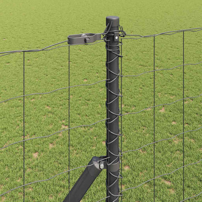 Hek met Paal Grijs 1,6 x 10 m Staal en PVC