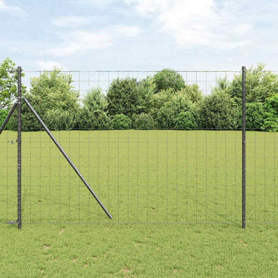 Hek met Paal Grijs 1,6 x 10 m Staal en PVC