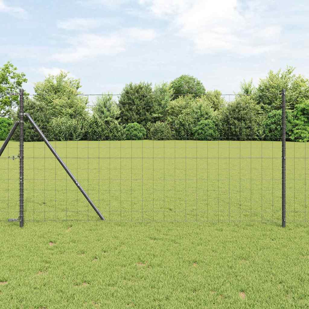 Hek met Paal Grijs 1,2 x 25 m Staal