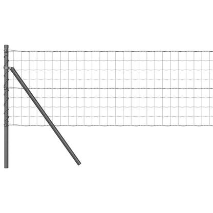 Hek met Paal Grijs 0,8 x 10 m Staal