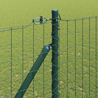 Hek met Paal Groen 1,6 x 10 m Staal en PVC