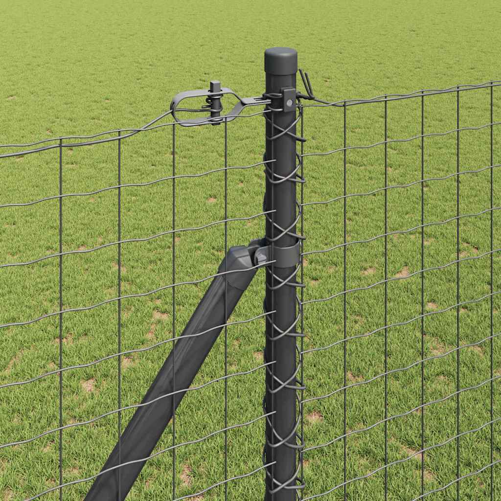 Hek met Paal Grijs 1,6 x 10 m Staal en PVC