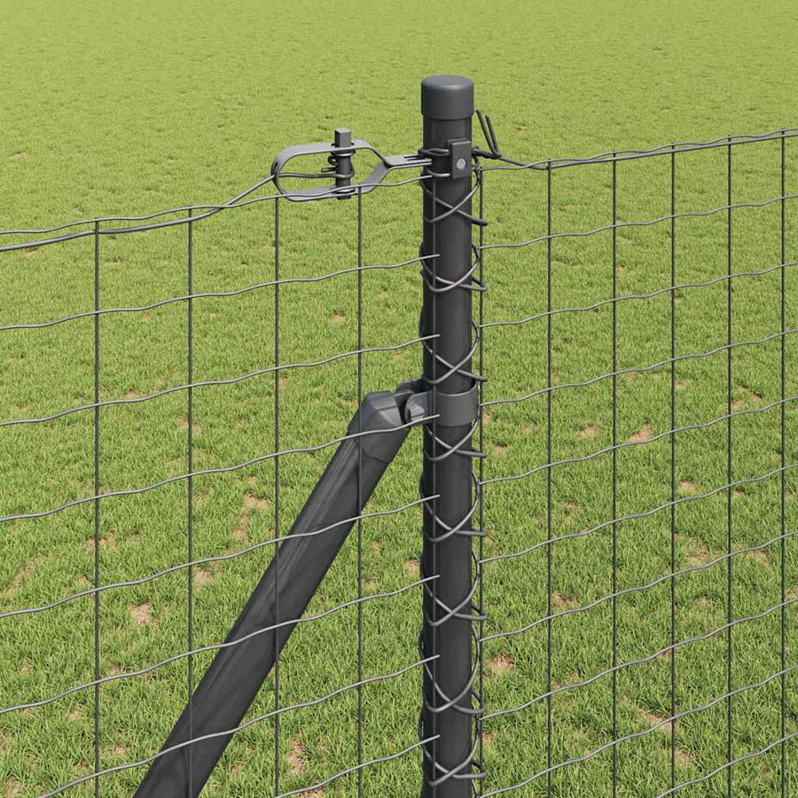 Hek met Paal Grijs 1,6 x 10 m Staal en PVC