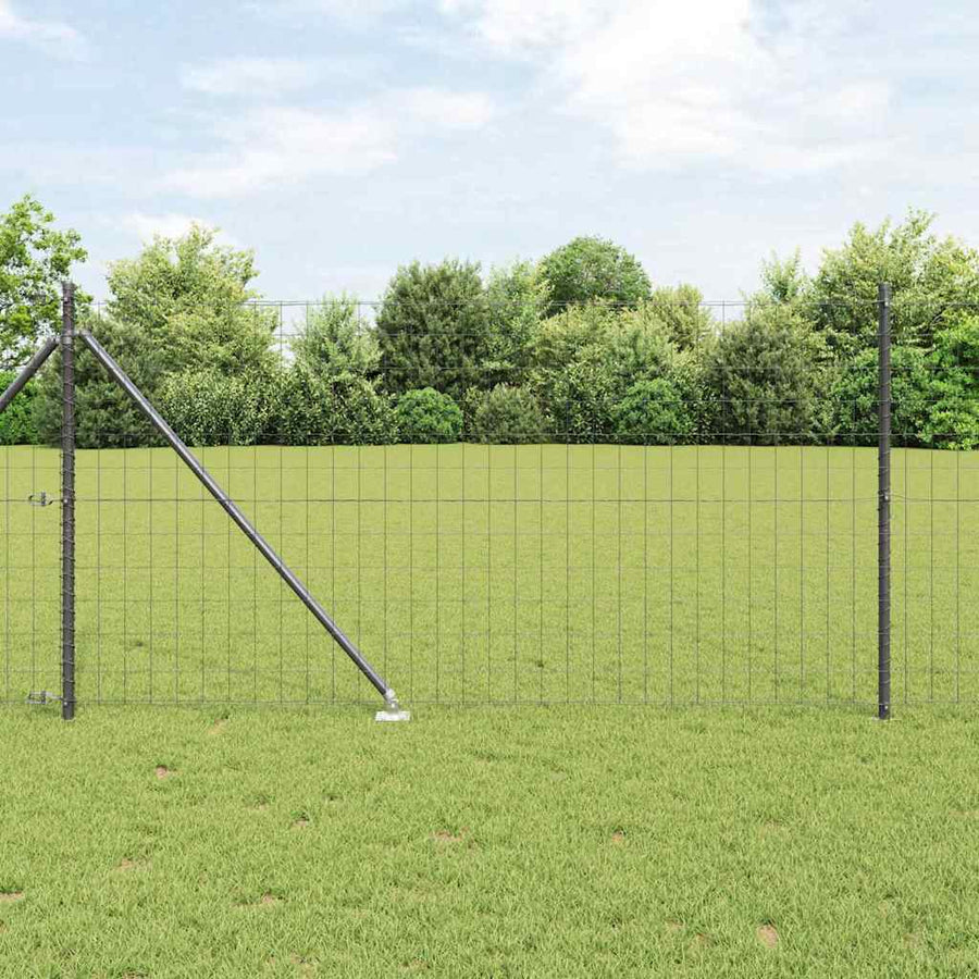 Hek met Paal Grijs 1 x 10 m Staal en PVC