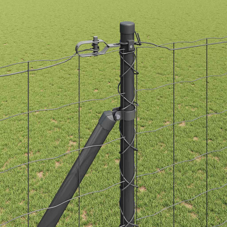 Hek met Paal Grijs 1,6 x 10 m Staal en PVC