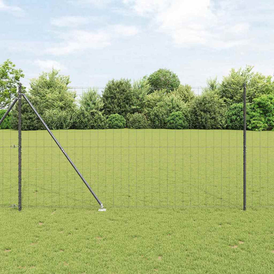 Hek met Paal Grijs 1,6 x 10 m Staal en PVC