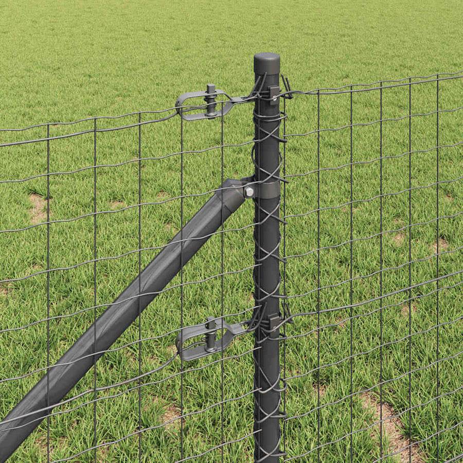 Hek met Paal Grijs 0,6 x 50 m Staal en PVC