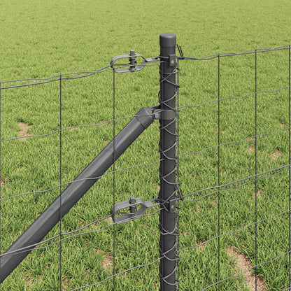 Hek met Paal Grijs 0,6 x 50 m Staal en PVC