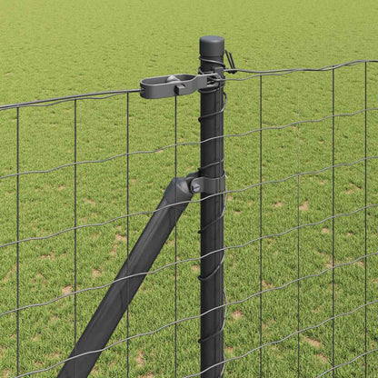 Hek met Paal Grijs 1,6 x 10 m Staal en PVC