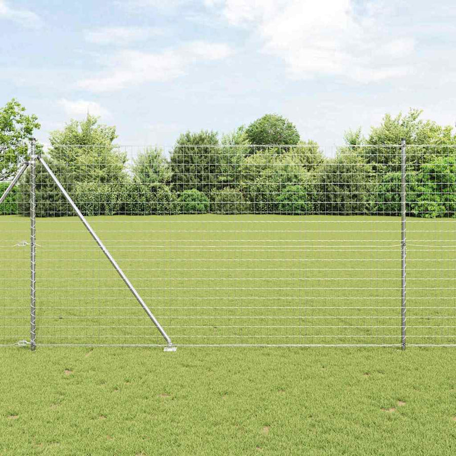Hek met Paal Zilver 1,6 x 10 m Staal